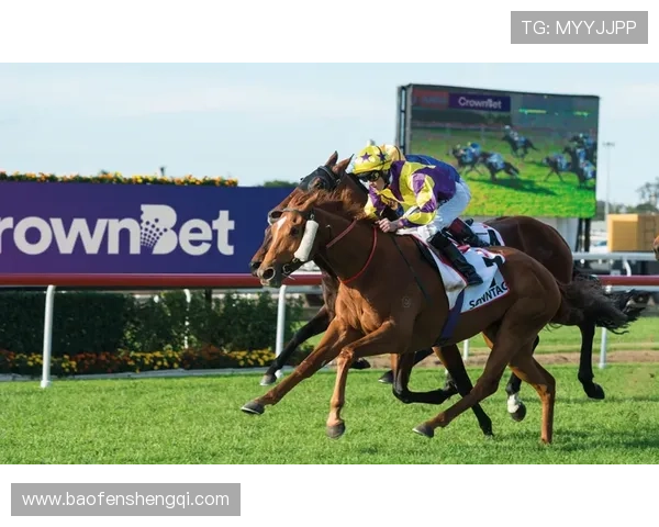 皇冠体育客户端未来发展趋势，创新功能和技术升级带来更优质的体育娱乐体验