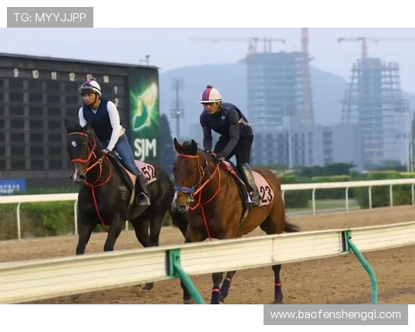 深入了解澳门赛马会赛事资讯助力投注策略的科学制定